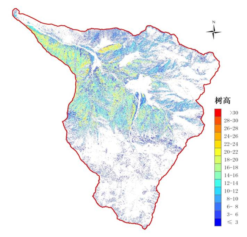 Distribution of tree height in Tianlaochi