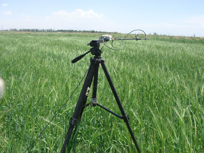 WATER: Dataset of continuous LST (Land Surface Temperature) observation in the Linze grassland foci experimental area