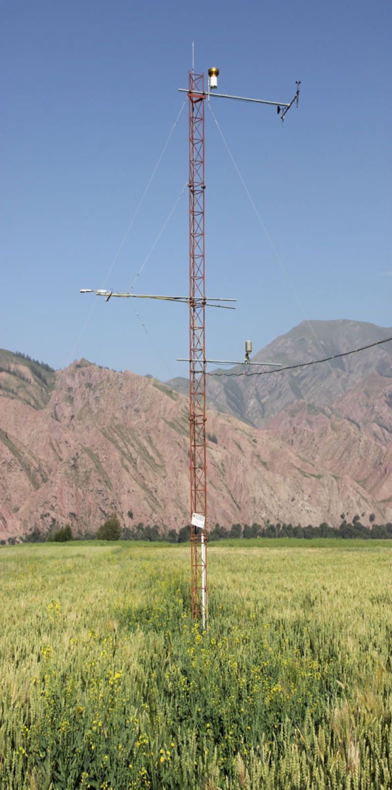 黑河生态水文遥感试验：水文气象观测网数据集（黄藏寺站自动气象站-2015）