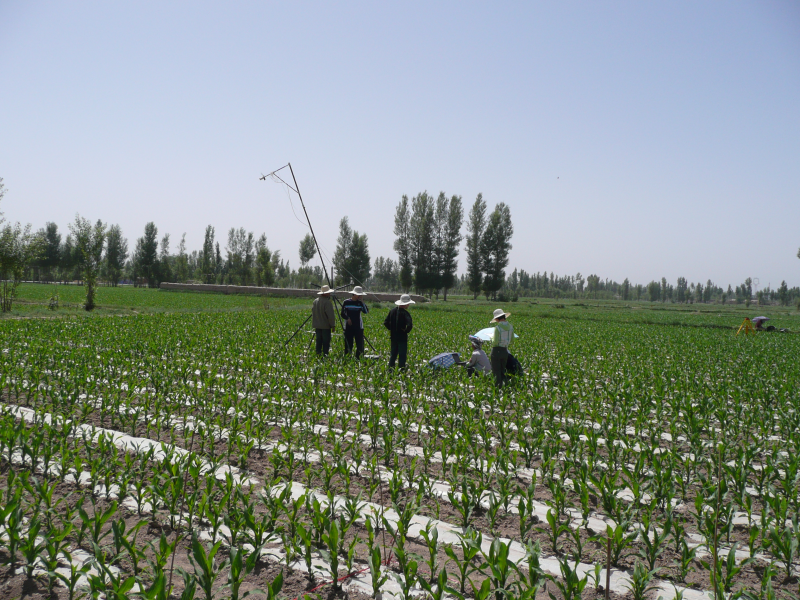 WATER: Dataset of BRDF observations in the Linze station foci experimental area