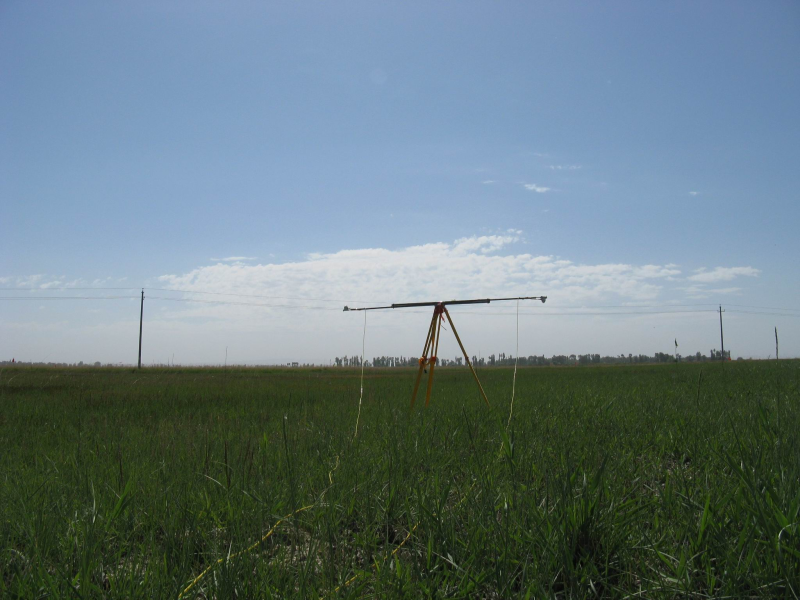 WATER: Dataset of albedo observations in the Linze grassland foci experimental area form May to July , 2008