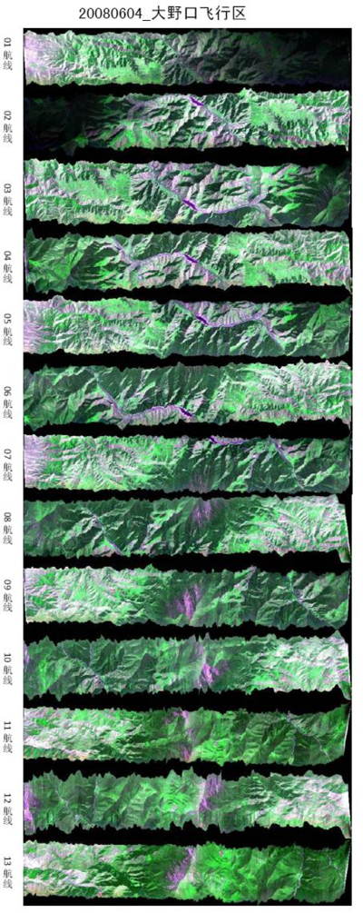 黑河综合遥感联合试验：大野口流域飞行区机载成像光谱仪OMIS-II数据集（2008年6月4日）